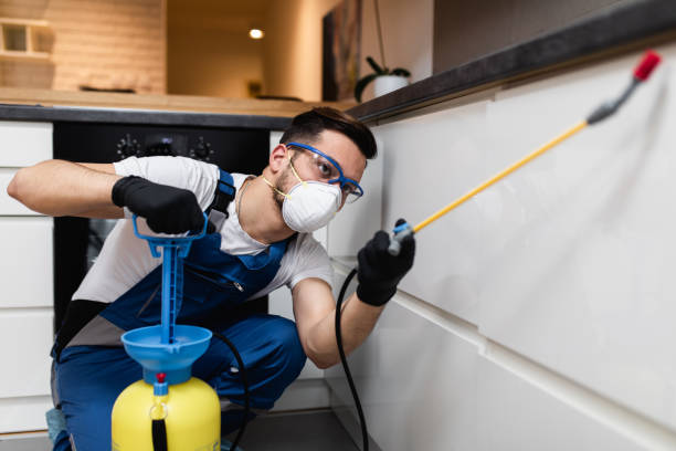 Best Local Pest Control Services  in Tuba City, AZ