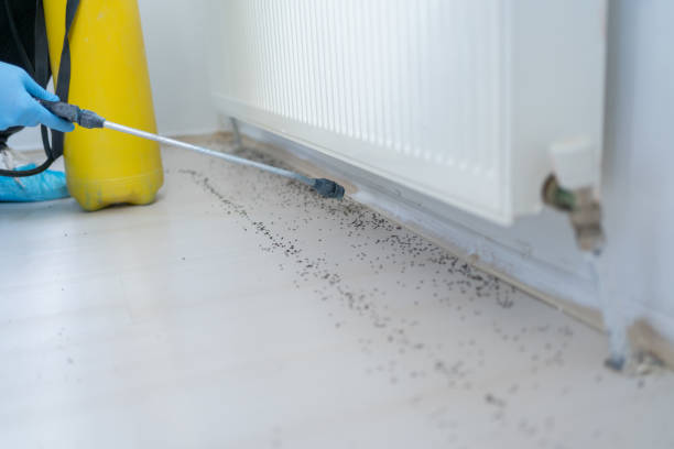 Best Best Pest Control Companies  in Tuba City, AZ